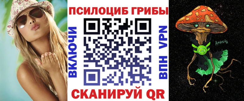 Галлюциногенные грибы Psilocybe  где можно купить   Голицыно 