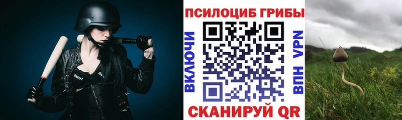 Псилоцибиновые грибы Magic Shrooms Голицыно
